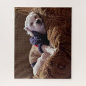 Havanese papaver Napping - Jigzaag Puzzle Legpuzzel (Verticaal)