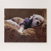 Havanese papaver Napping - Jigzaag Puzzle Legpuzzel (Horizontaal)