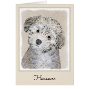 Havanese papaverschilderijen - Kute Original Dog A