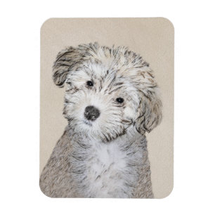 Havanese papaverschilderijen - Kute Original Dog A Magneet