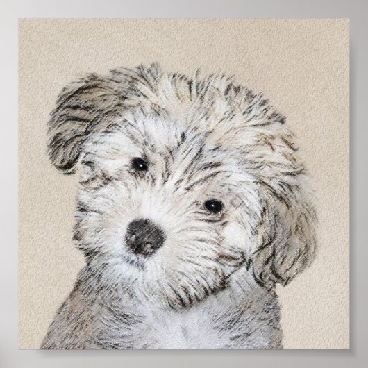 Havanese papaverschilderijen - Kute Original Dog A Poster (Voorkant)