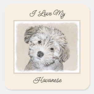Havanese papaverschilderijen - Kute Original Dog A Vierkante Sticker