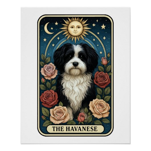 Havanese Perfect Poster (Voorkant)