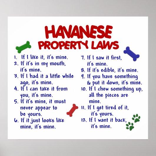 HAVANESE PL2 POSTER (Voorkant)