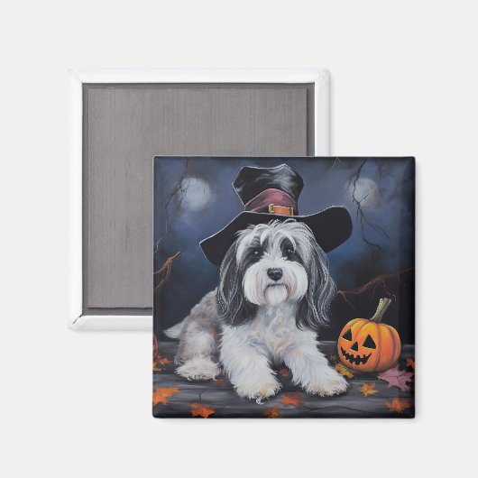 Havanese pompoenen Halloween eng Magneet (Voorkant / Achterkant)