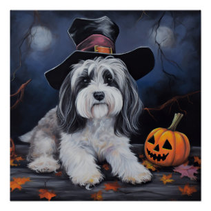 Havanese pompoenen Halloween eng Perfect Poster