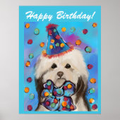 HAVANESE POSTER (Voorkant)