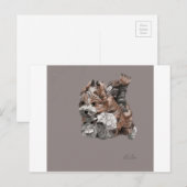 Havanese Puppy Briefkaart (Voorkant / Achterkant)