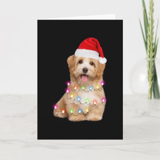 Havanese puppy christmas gift for her kaart (Voorkant)