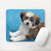 Havanese Puppy - Gepersonaliseerd Muismat (Met muis)