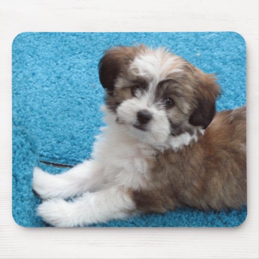 Havanese Puppy - Gepersonaliseerd Muismat (Voorkant)