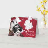 Havanese puppy - Get Well Kaart - Tissue voor jou! (Gele Bloem)
