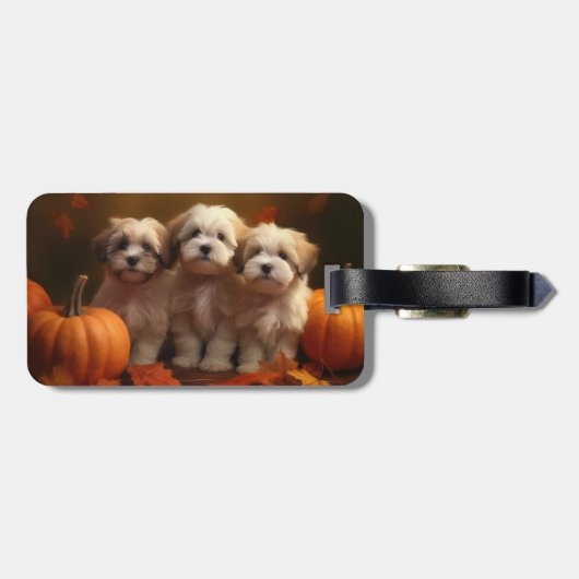 Havanese Puppy Herfst Delight Pompoen Bagagelabel (Achterkant horizontaal)