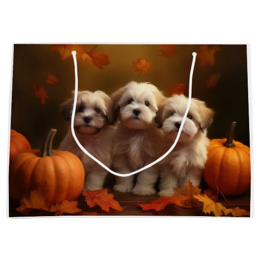 Havanese Puppy Herfst Delight Pompoen Groot Cadeauzakje (Voorkant)