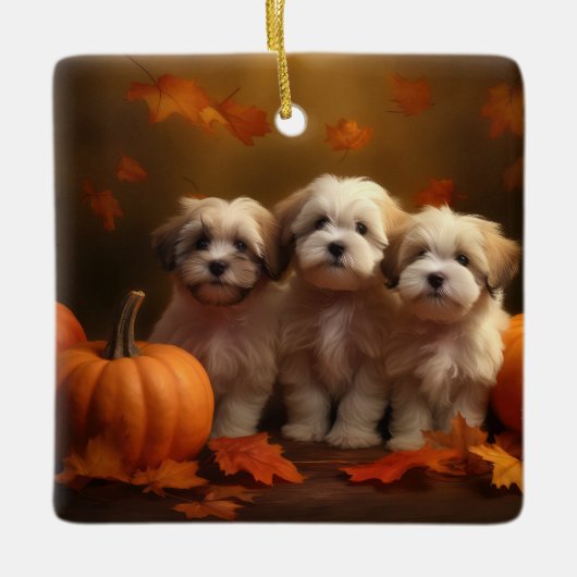 Havanese Puppy Herfst Delight Pompoen Keramisch Ornament (Voorkant)