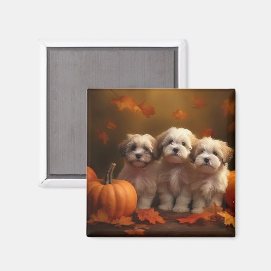 Havanese Puppy Herfst Delight Pompoen Magneet (Voorkant / Achterkant)