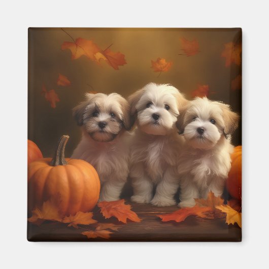 Havanese Puppy Herfst Delight Pompoen Magneet (Voorkant)