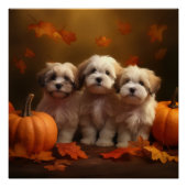 Havanese Puppy Herfst Delight Pompoen Perfect Poster (Voorkant)