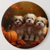 Havanese Puppy Herfst Delight Pompoen Ronde Button 6,0 Cm (Voorkant)