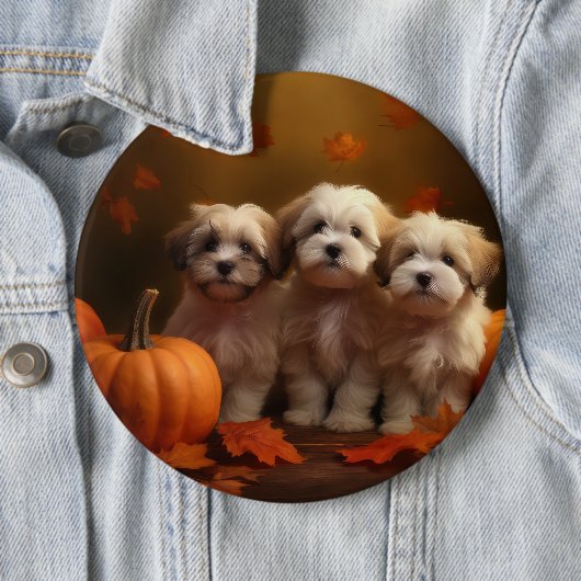 Havanese Puppy Herfst Delight Pompoen Ronde Button 6,0 Cm (In situ)