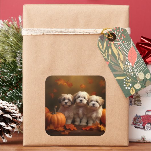 Havanese Puppy Herfst Delight Pompoen Vierkante Sticker (Feestdagen)