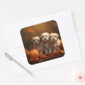 Havanese Puppy Herfst Delight Pompoen Vierkante Sticker (Envelop)