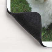 Havanese puppy in de tuin muismat (Hoek)