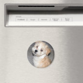 Havanese Puppy Magneet (Insitu (Vaatwasser))