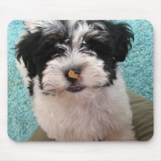 Havanese Puppy Muismat (Voorkant)