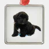 ***Havanese puppy** Ornament (Voorkant)