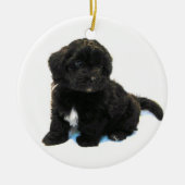 Havanese Puppy Ornament (Voorkant)