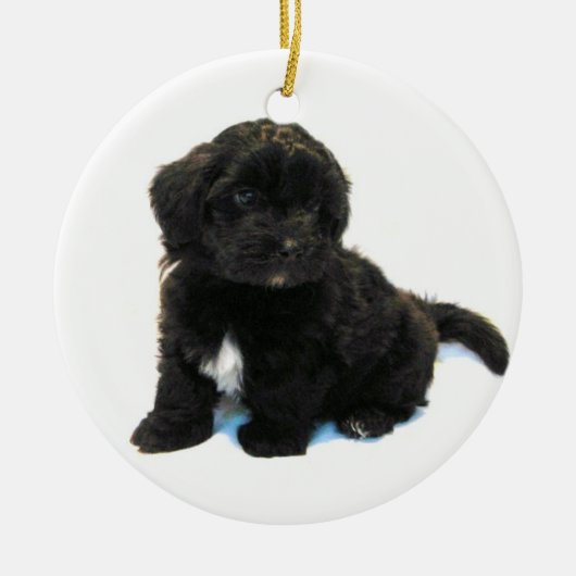 Havanese Puppy Ornament (Voorkant)