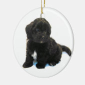 Havanese Puppy Ornament (Links)