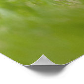 Havanese Puppy Poster (Hoek)