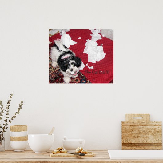 Havanese Puppy Poster (Keuken)