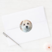Havanese Puppy - Redding Ronde Sticker (Envelop)