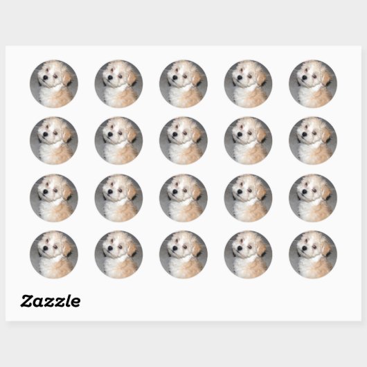 Havanese Puppy Ronde Sticker (Vel)