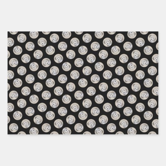 Havanese Puppy Schilderij Sable Originele Huisdier Inpakpapier Vel (Voorkant 3)