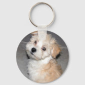 Havanese Puppy Sleutelhanger (Voorkant)