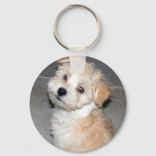 Havanese Puppy Sleutelhanger