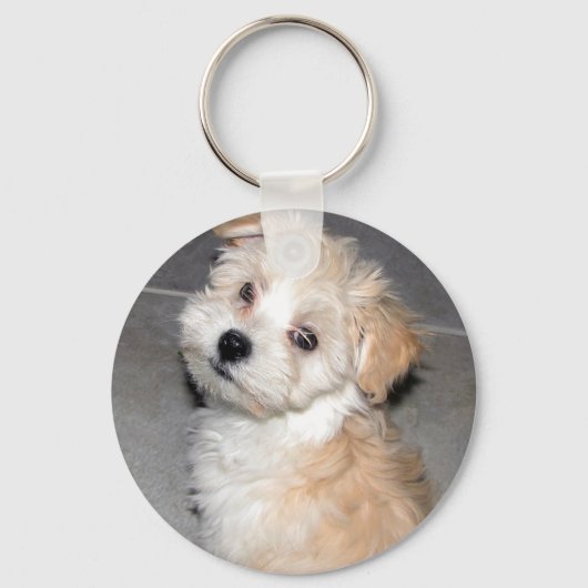 Havanese Puppy Sleutelhanger (Voorkant)