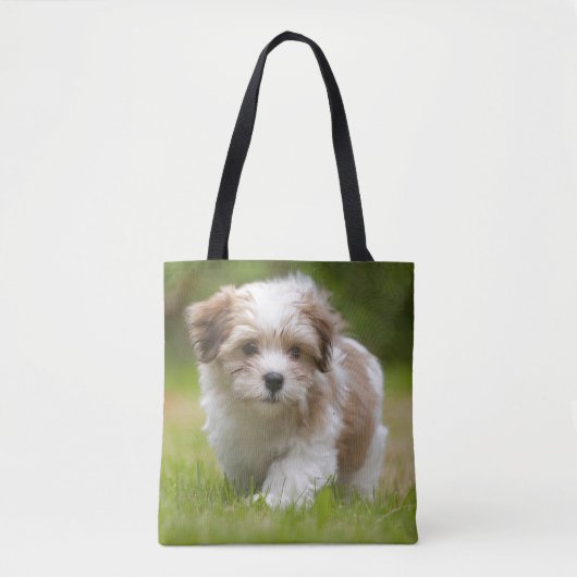 Havanese Puppy Tote Bag (Voorkant)