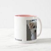 Havanese Puppy Tweekleurige Koffiemok (Voorkant rechts)