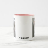Havanese Puppy Tweekleurige Koffiemok (Center)