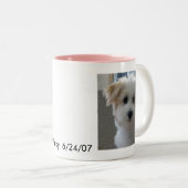 Havanese Puppy Tweekleurige Koffiemok (Voorkant rechts)