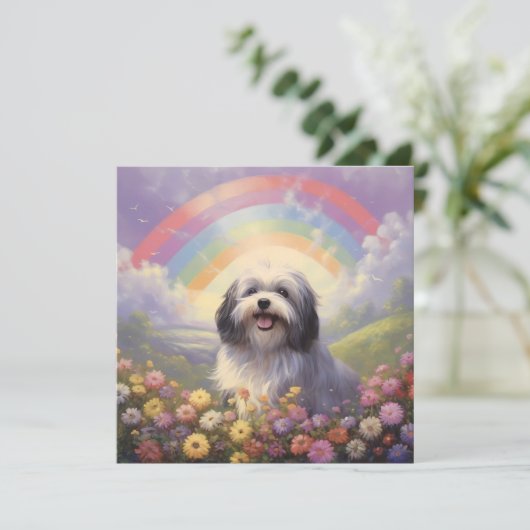 Havanese Rainbow Bridge aangepaste naam hond sympa (Staand voorkant)