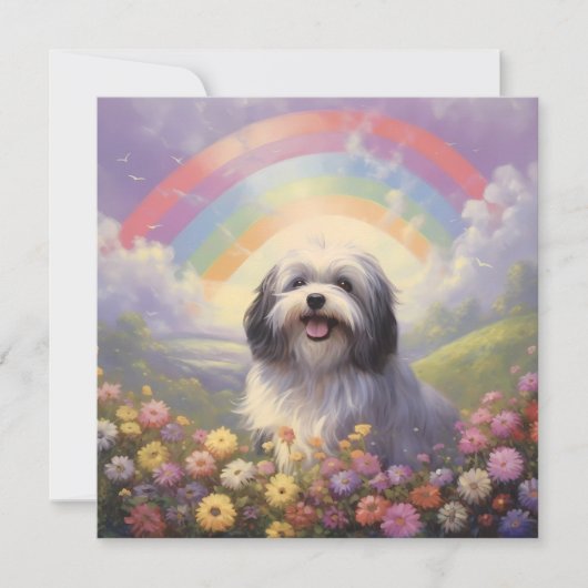 Havanese Rainbow Bridge aangepaste naam hond sympa (Voorkant)