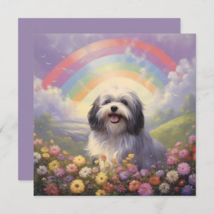 Havanese Rainbow Bridge aangepaste naam hond sympa