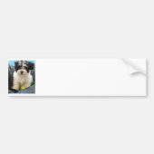 Havanese redding Puppy Black White Bumpersticker (Voorkant)
