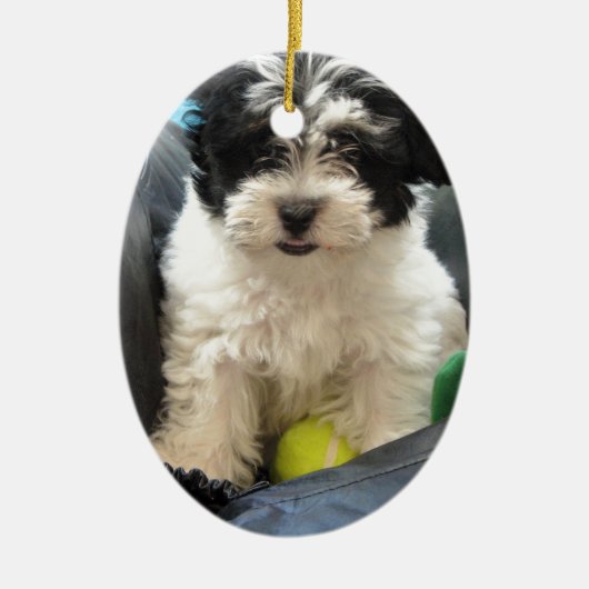 Havanese redding Puppy Black White Keramisch Ornament (Voorkant)